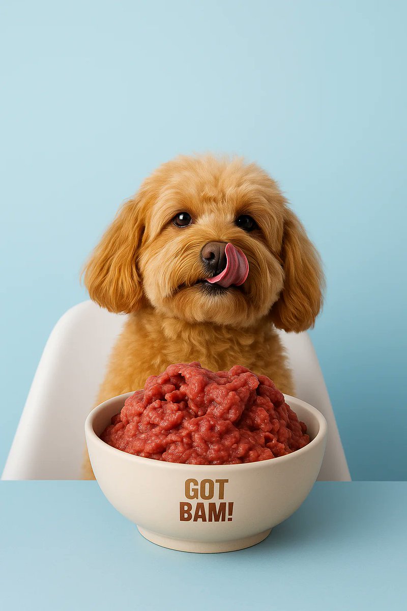 🐾 Skin issues? Low energy? It’s probably the kibble.
Upgrade to RAW and watch your dog thrive.
🔥 Energy up
✨ Coat shining
💩 Poops smaller
👉 gotbam.com
#RawFeeding  #GotBAM #RawPetFood #HealthyPets #PetNutrition #NaturallyRawDiet #NaturalPetFood #BAMRAWDIETS