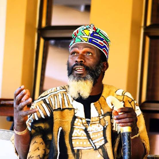 “Africans don’t need democracy, Democracy has not work and it doesn’t work in Africa, we need dictators who dictate the right thing”.- Joshua Maponga.
