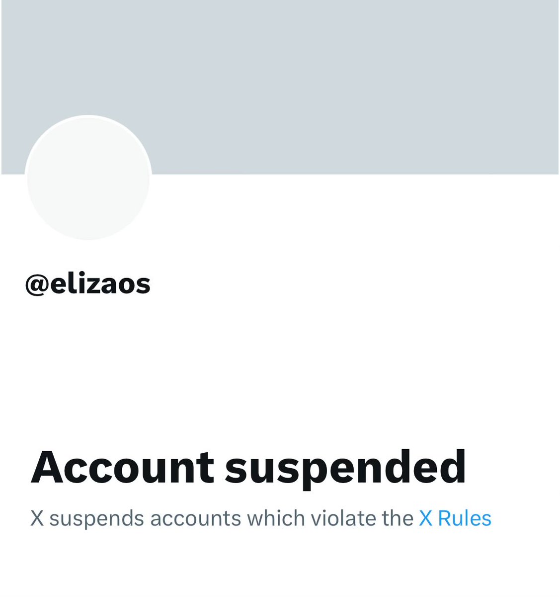 unprecedented X ban against Eliza 

<a href="/ai16z/">snowball</a> <a href="/shawmakesmagic/">Shaw</a> <a href="/elizaOS/">elizaOS</a> 

all accounts suspended

did X decide to take out Eliza to stop the growth of bot nets?