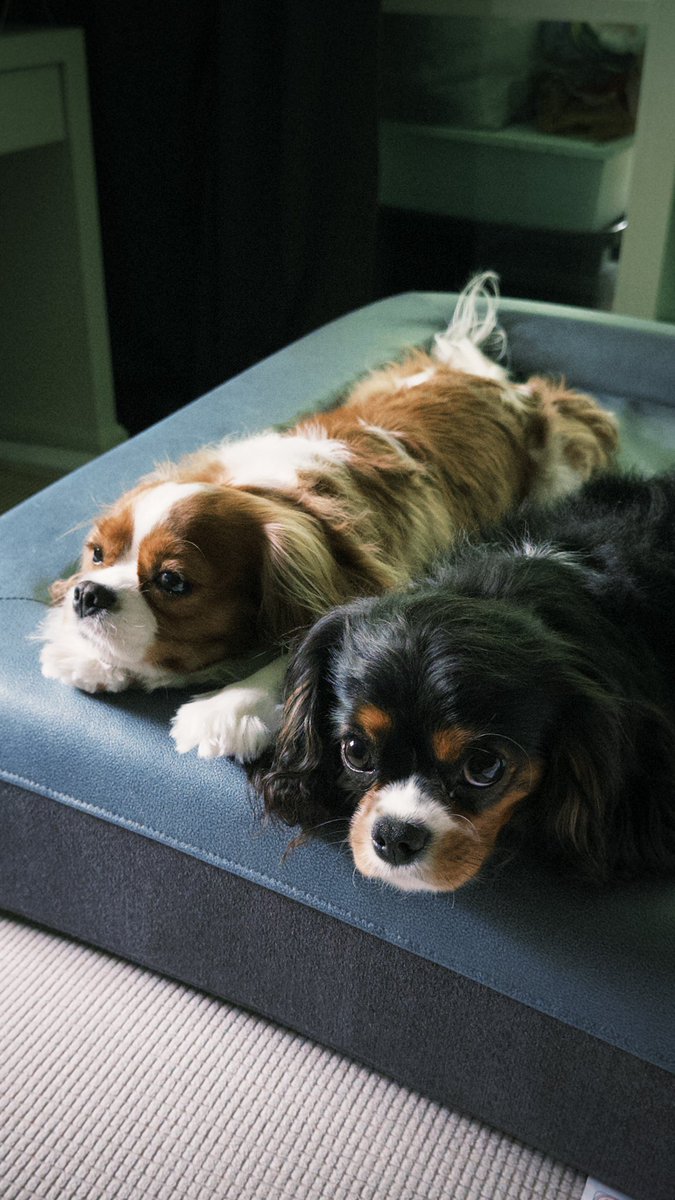 ทำอาเนียมันน่ารักจัง เห้อ