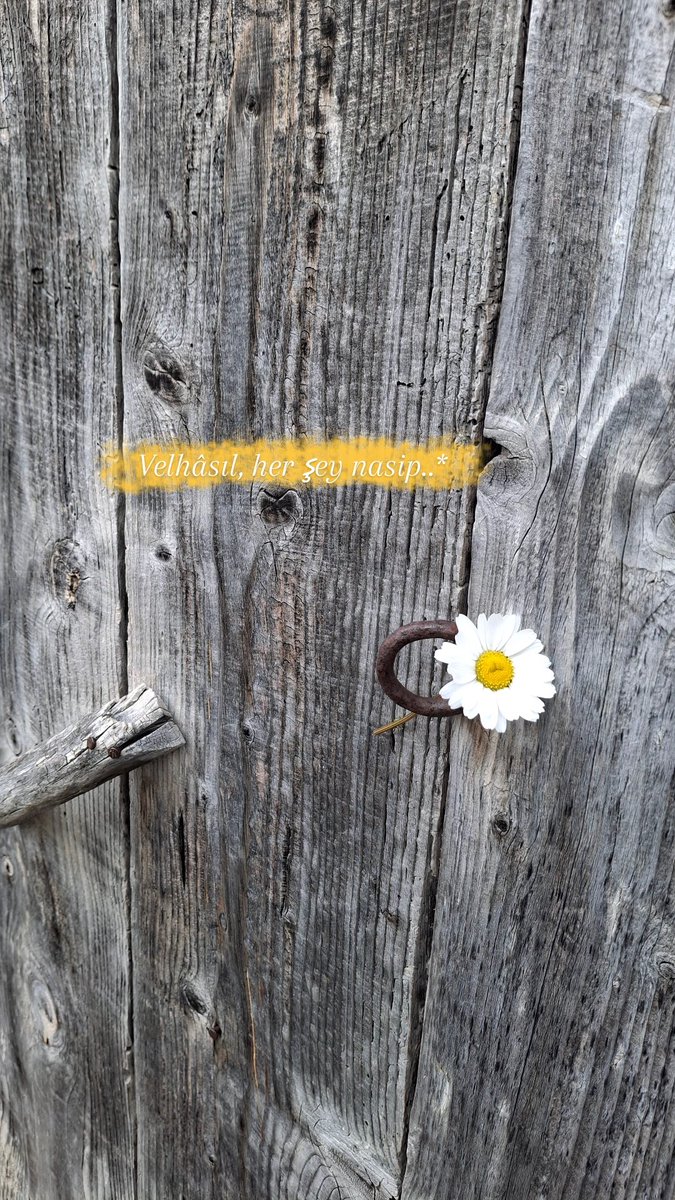 ℍ𝔸𝕄𝕌𝕊̧..!🍀 (@limyolcusu) on Twitter photo 