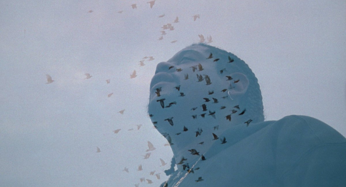 Ghost Dog: The Way of the Samurai (1999) dir. Jim Jarmusch