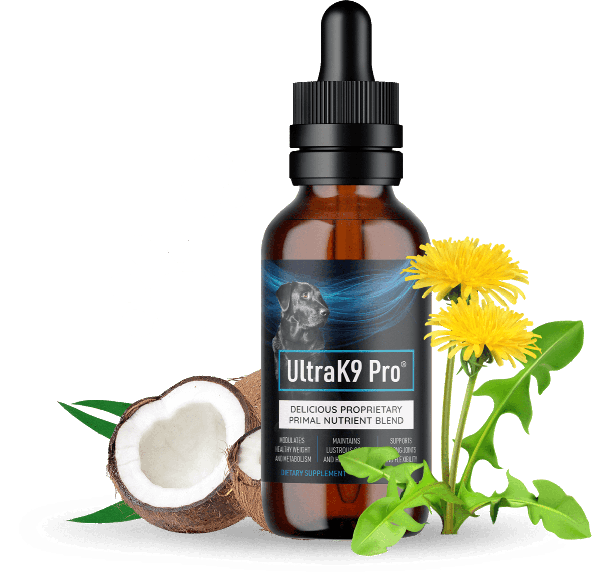 Best Dog Supplement for Mobility &amp; Vitality
Support your dog's mobility, shiny coat &amp; gut health naturally. See results fast with UltraK9 Pro! 🐕‍🦺
beacons.ai/sceltiperte365
 #DogSupplements #HealthyDogs