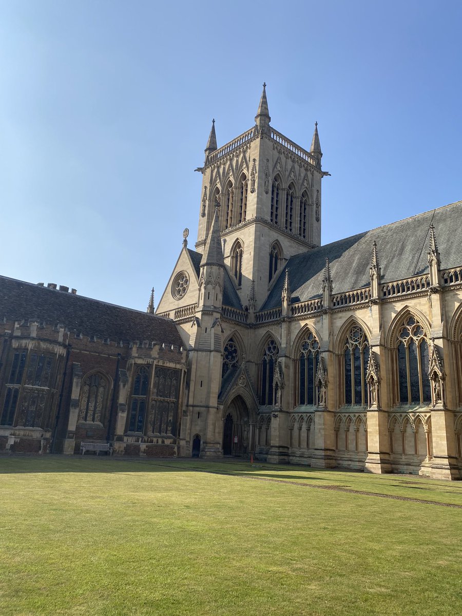 Laura Sheils tweet media