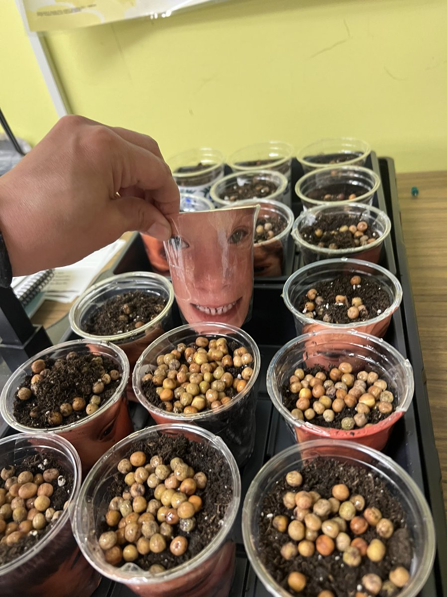 Madame Day tweet media