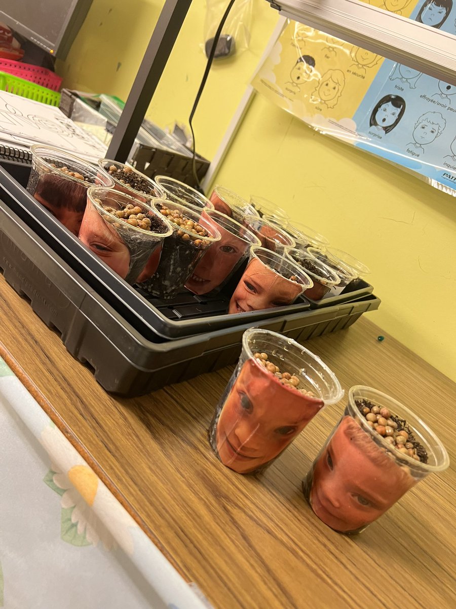 Madame Day tweet media