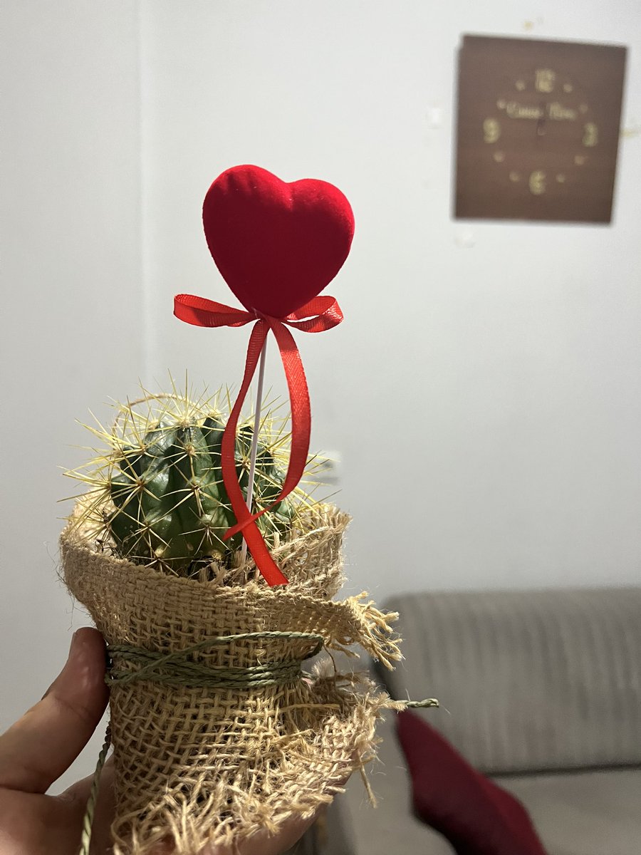 Kaktüse bakmak için sevgiye,kaktüs gibi insanı hayatına almak için hem sevgiye hem cesarete ihtiyacın vardır ❤️