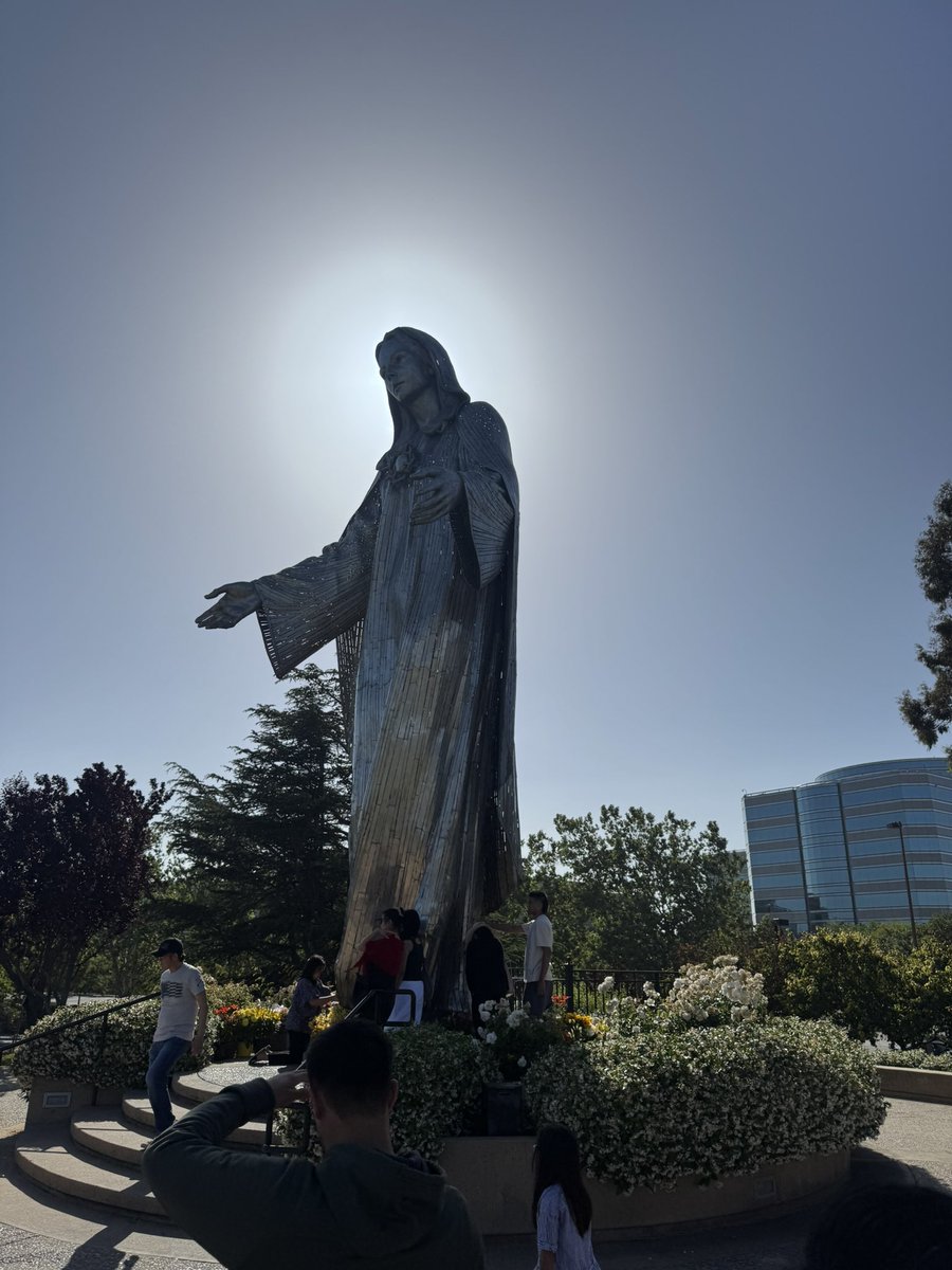 Shane Mclaughlin tweet media