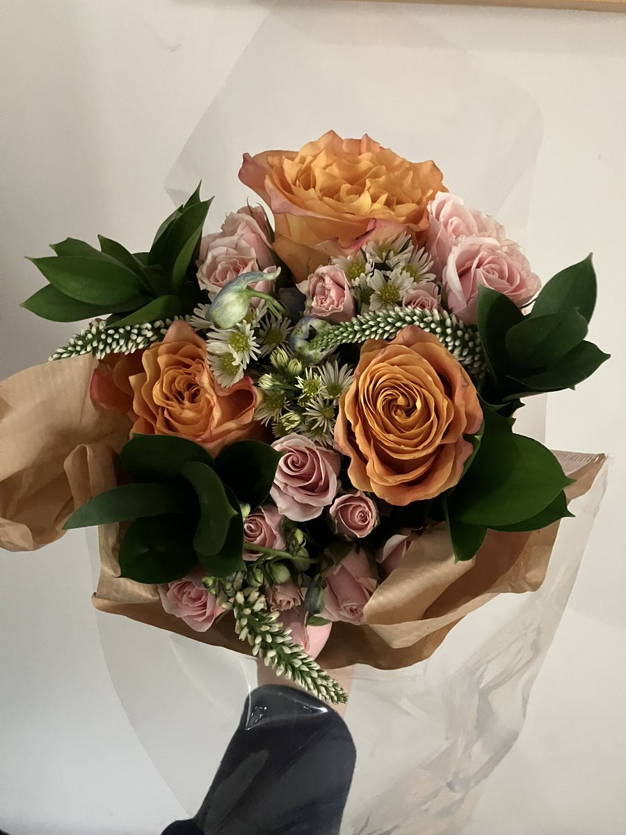 ilana kaplan tweet media