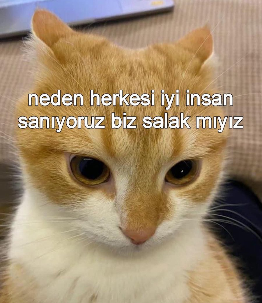 ezgi (@zirtiss) on Twitter photo 