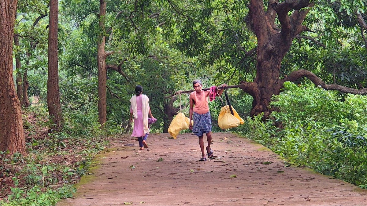 himansupress's tweet image. ଆଉ ଦେଖିବାକୁ ମିଳୁନାହିଁ ଏଭଳି ଭାର ବୋହିବା ଦୃଶ୍ୟ #kandharevara #ジbestphatooftheday
#mahibevlog