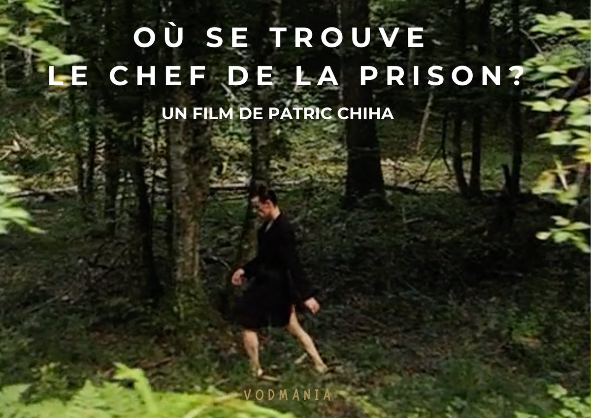 Inspiré d'un des écrits d'Aimable Jayet, découvrez OÙ SE TROUVE LE CHEF DE LA PRISON (2007) de Patric Chiha! une oeuvre de fiction qui explore avec modernité les thèmes de la métaphormose et de l'identité. #genre #film #courtmetrage 
vimeo.com/ondemand/ouest…