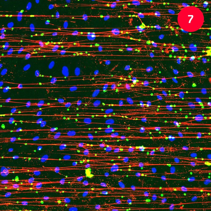 British Heart Foundation tweet media