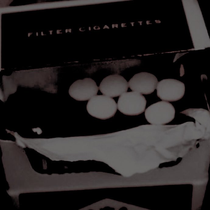 𝐴𝐸𝐺𝑂𝑁 𝐼𝐼 ᝰ.ᐟ tweet media