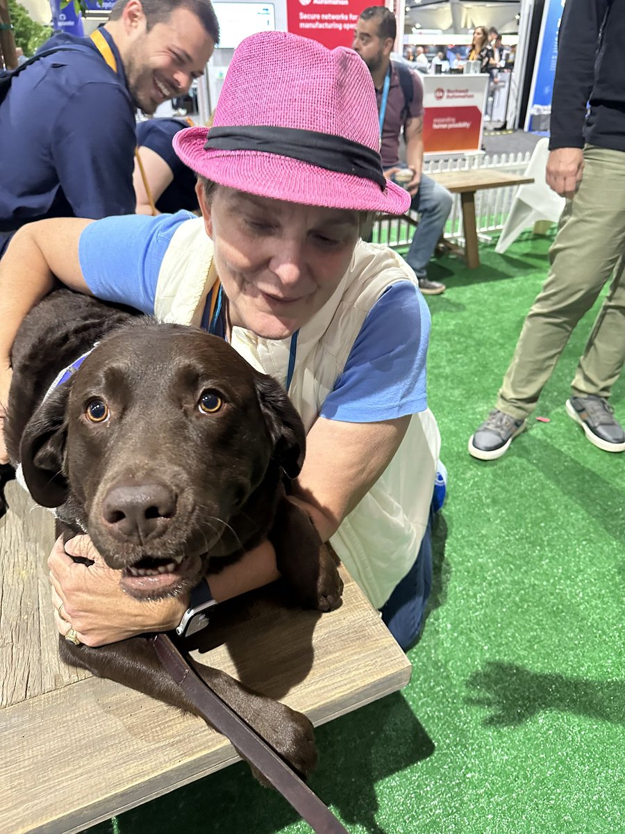 EvanMintzer's tweet image. Proof that fish and dogs along. #CiscoLive