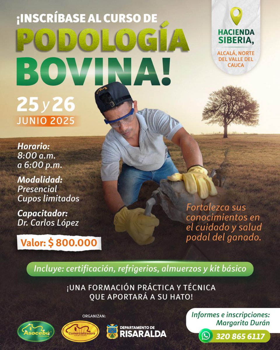 🧑‍🌾🐄 ¡Capacítese ahora!

Inscríbase al curso de podología bovina 🐮, en la reconocida Hacienda Siberia, sede de la central genética de @ganaderiamanantiales , referente en innovación con razas Gyr y Girolando 🧬💪.

✅ ¡Cupos limitados! Formación 100% práctica y técnica.