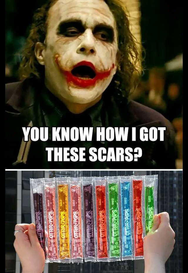 In Otter News.... (@in_otter_news2) on Twitter photo 