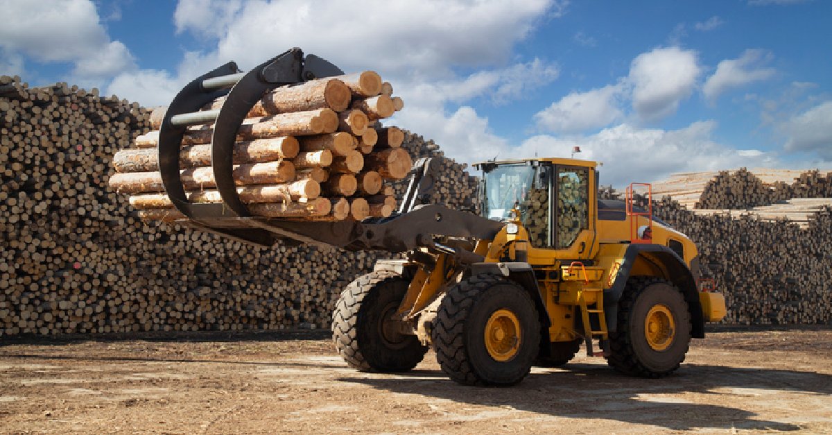 Hey #loggers and #forest workers OccHealthSci and our logging safety partners have developed a self-guided, online yarding and loading safety training. This free training covers logging/forest industry safety topics. Check it out: loom.ly/u_htrb4