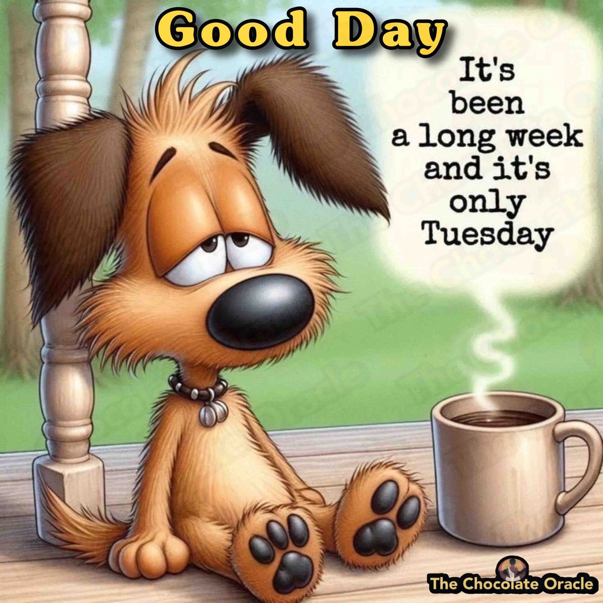 ChocolateOracle's tweet image. Good Day

It&apos;s been a long week and it&apos;s only Tuesday.

@Highlight
@Highlights
@Everyone
@Followers
#GoodDay
#Tuesday
@ChocolateOracle 
#TheChocolateOracle