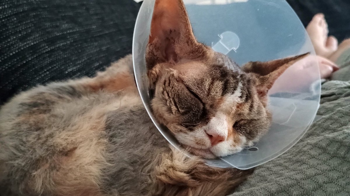 Tre dagar kvar sen så ryker stygnen och tratten. Men det går förvånansvärt bra detta.