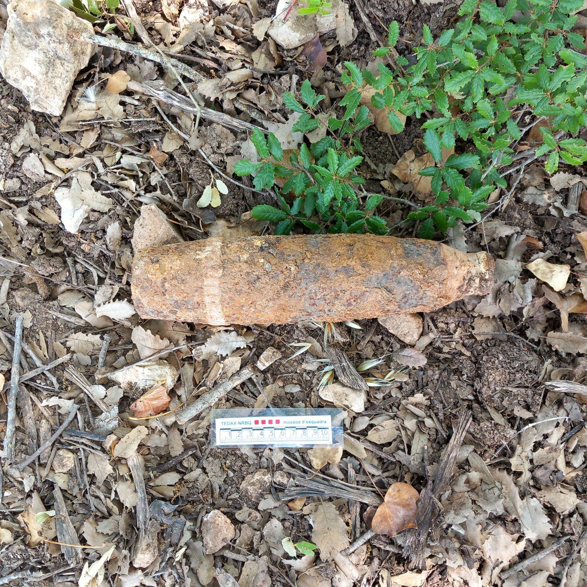 Ens avisen que han trobat un obús de la Guerra Civil en una vinya de la Llacuna (Anoia). Un equip dels TEDAX s’apropa a recollir-lo. Es tracta d’un projectil d'artilleria de 75 mm

💣  Si detectes un artefacte explosiu, no el manipulis i truca al <a href="/112/">112</a>