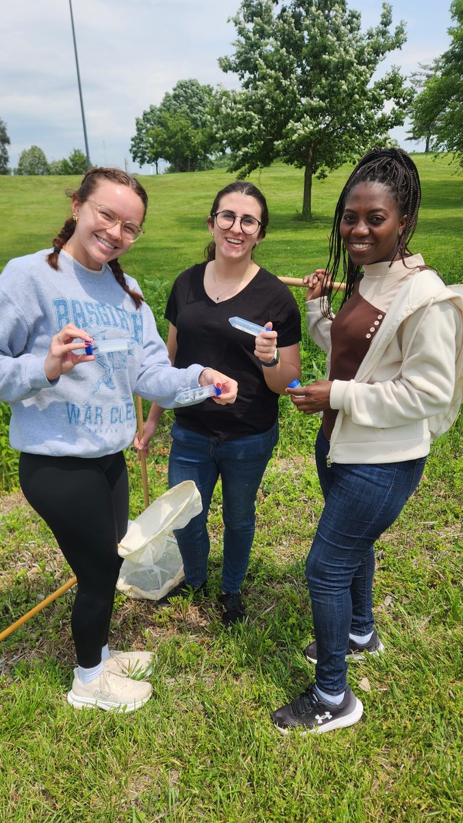 Behavioral Plasticity Research Institute (@nsf_bpri) on Twitter photo BPRI Trainees collecting insects in SIUE's campus as part of their training in Brittany Petersons Lab.  🪲🦠🦠🦗🦗 #NSFBPRI #SIUE #Science BPRI Trainees collecting insects in SIUE's campus as part of their training in Brittany Petersons Lab.  🪲🦠🦠🦗🦗 #NSFBPRI #SIUE #Science