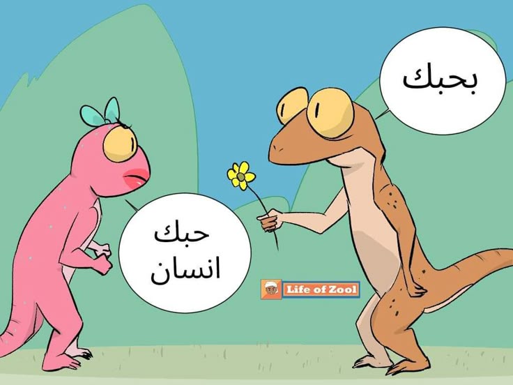 سهيلة الهايلة (@sohila777h) on Twitter photo 