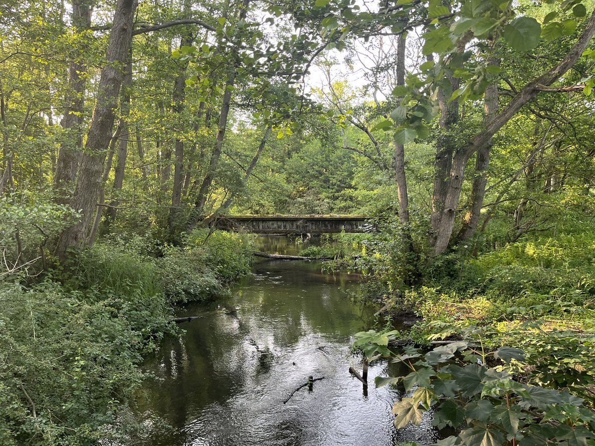 Caroline (@carolineg_19) on Twitter photo Long, slow slog around <a href="/panshangerpark/">Panshanger</a> looking beautiful on a warm sunny evening ☀️ saw a deer, a parakeet and a Jay 🤩 Got my run done, heavy legs so having a rest day tomorrow 😰 #running Long, slow slog around <a href="/panshangerpark/">Panshanger</a> looking beautiful on a warm sunny evening ☀️ saw a deer, a parakeet and a Jay 🤩 Got my run done, heavy legs so having a rest day tomorrow 😰 #running
