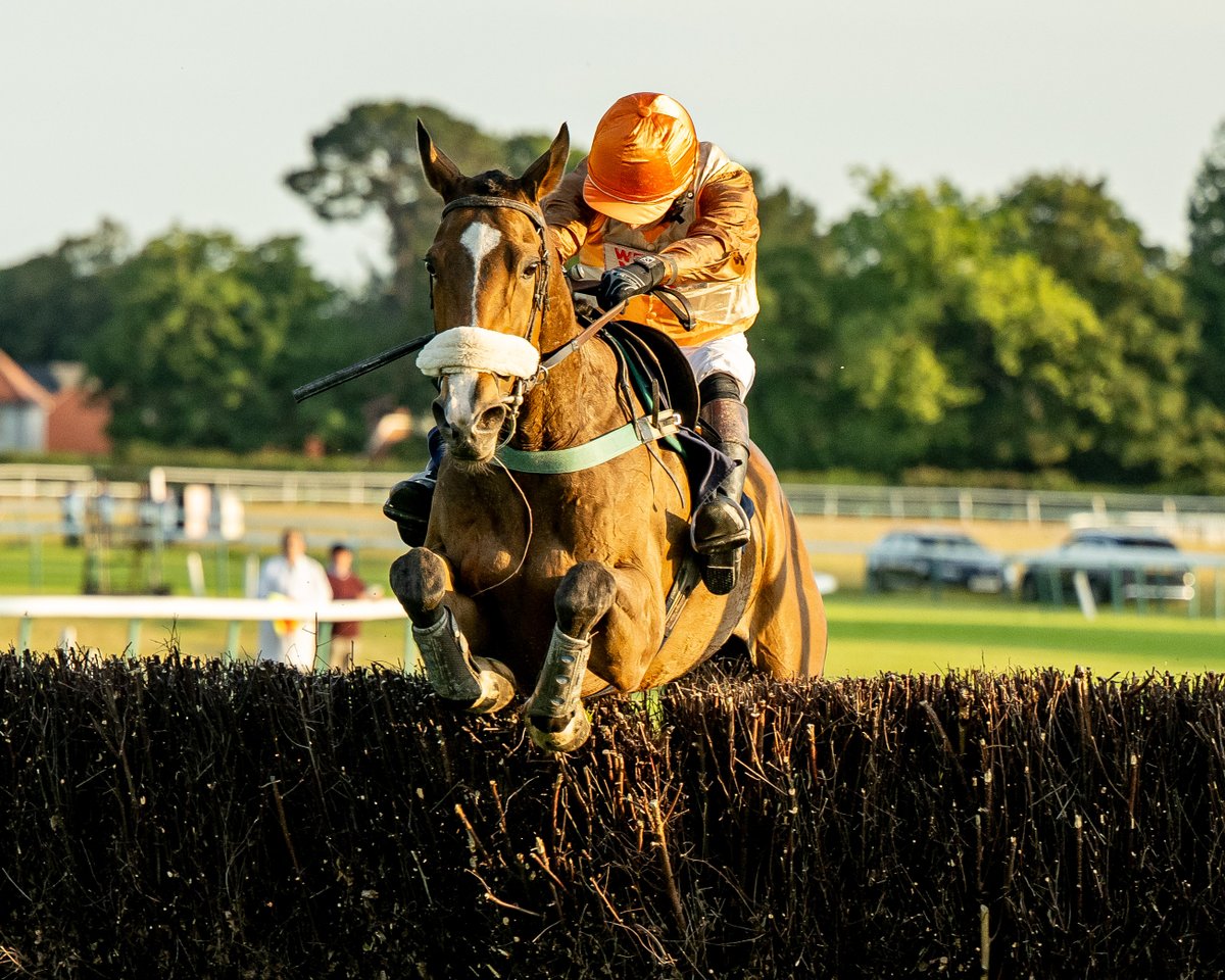 Fontwell Park (@fontwellpark) on Twitter photo Race 4: The <a href="/Weatherbys_Bank/">Weatherbys Racing Bank</a> Handicap Steeple Chase
🥇Morfee
🥈No No Maestro
🥉Belgarum
Jockey: <a href="/jamesbe19813630/">james best</a>
Trainer: <a href="/SeamusMullins1/">Seamus Mullins</a>
Owner: Mrs Ann Leftley Race 4: The <a href="/Weatherbys_Bank/">Weatherbys Racing Bank</a> Handicap Steeple Chase
🥇Morfee
🥈No No Maestro
🥉Belgarum
Jockey: <a href="/jamesbe19813630/">james best</a>
Trainer: <a href="/SeamusMullins1/">Seamus Mullins</a>
Owner: Mrs Ann Leftley