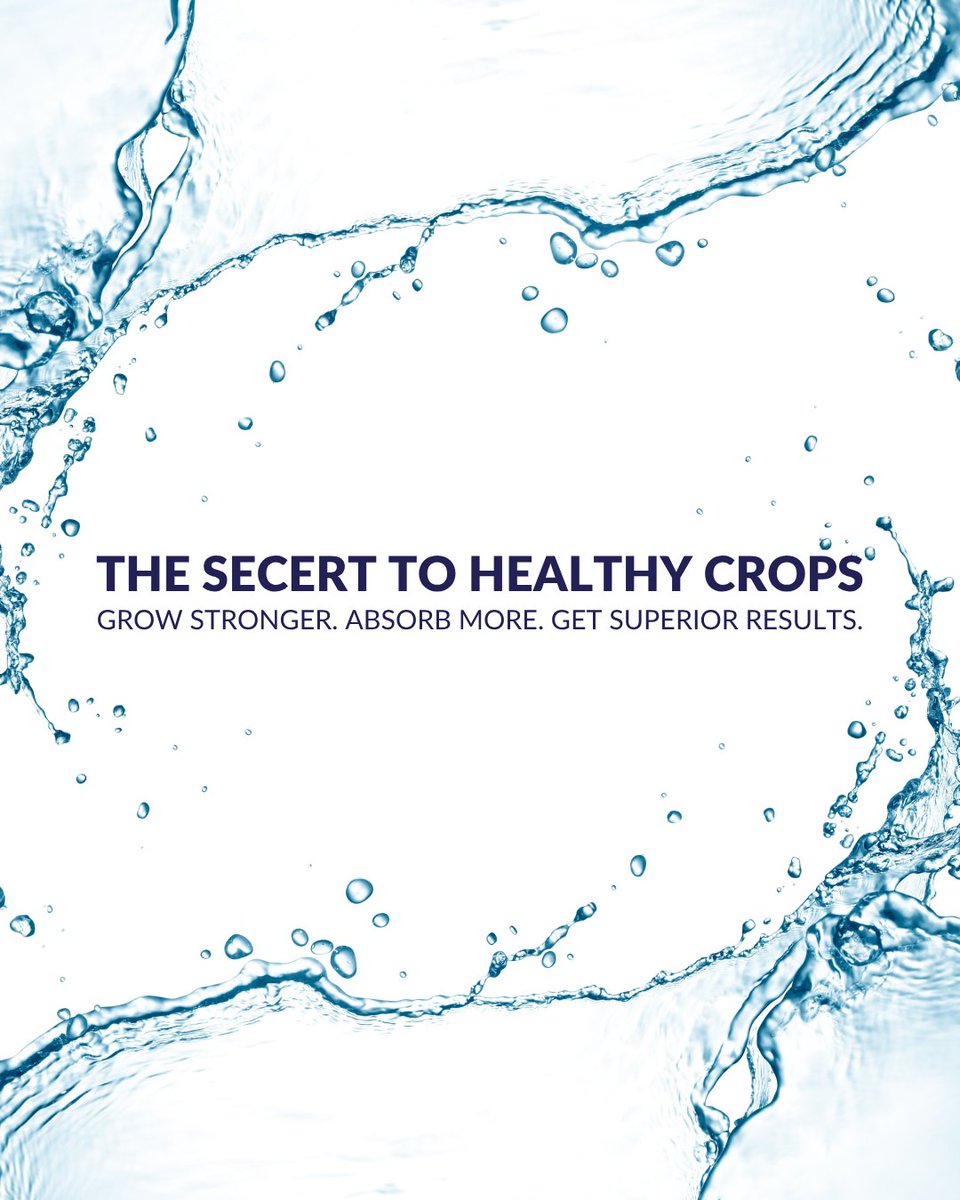 Struggling with nutrient deficiencies? Chelates might be the solution your fertilizer program needs. Click the link to explore how chelates can boost plant health. plantprod.com/news/unlocking…

#ChelatedNutrients #PlantProd #CropNutrition #GrowBetter #WaterSolubleFertilizer