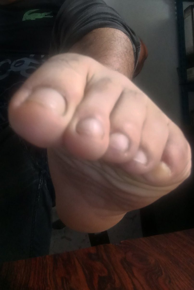 Pana Pies tweet media