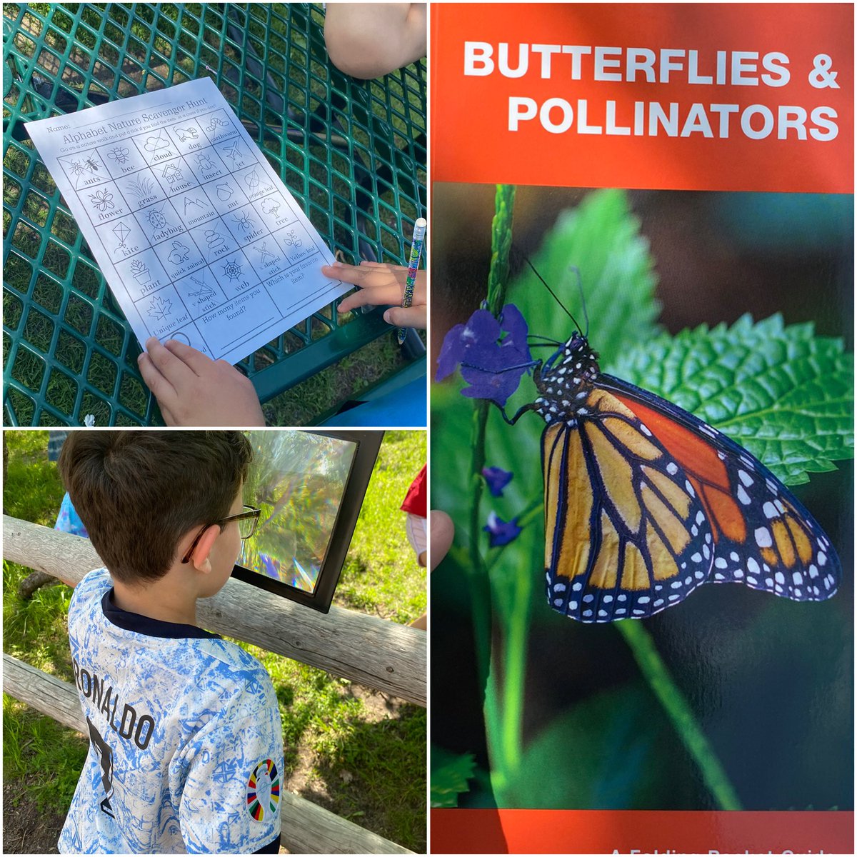 Mrs.Dalrymple (@mrs_dalrymple17) on Twitter photo ‘Nn’ is for Nature Day! We enjoyed some outdoor learning, where we had a nature hunt. 🌿 was the perfect afternoon! 💚 <a href="/StMaryOCSB/">St. Mary School</a> #ocsbOutdoors <a href="/ocsbEco/">ocsbECO</a> ‘Nn’ is for Nature Day! We enjoyed some outdoor learning, where we had a nature hunt. 🌿 was the perfect afternoon! 💚 <a href="/StMaryOCSB/">St. Mary School</a> #ocsbOutdoors <a href="/ocsbEco/">ocsbECO</a>