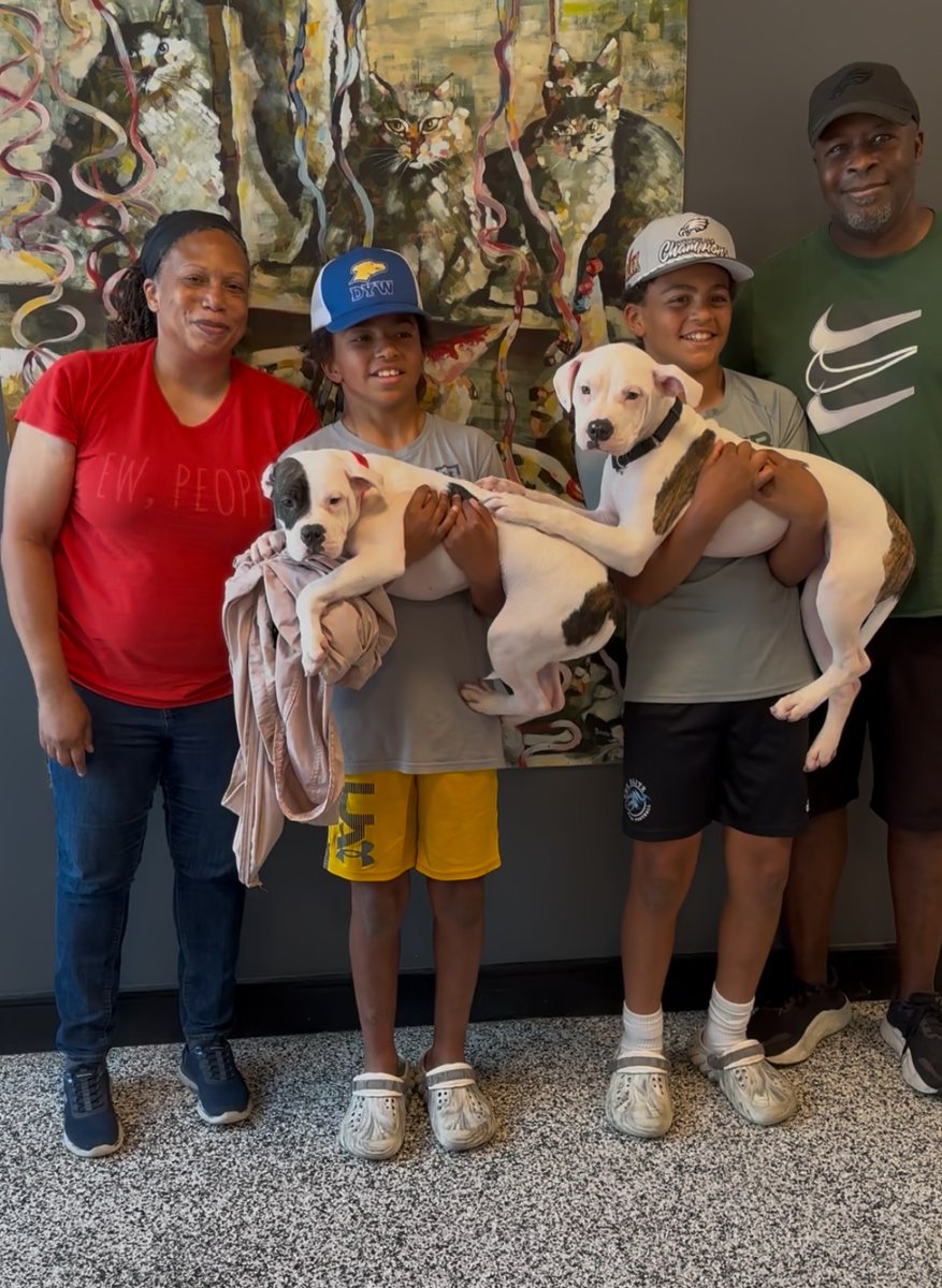 Life coaching & wellness services (@good_vibes_up) on Twitter photo JACK & ASH got ADOPTED together!! 😍😍😍
From Danree Fjelsted Heath:
Aww. His paws on his sibling!!! So glad they went together!!
TYSM adopters & <a href="/BrandywineSPCA/">Brandywine Valley SPCA</a>
bvspca.org
Visit your local animal shelter today & #AdoptDontShop
Ask about fostering a shelter JACK & ASH got ADOPTED together!! 😍😍😍
From Danree Fjelsted Heath:
Aww. His paws on his sibling!!! So glad they went together!!
TYSM adopters & <a href="/BrandywineSPCA/">Brandywine Valley SPCA</a>
bvspca.org
Visit your local animal shelter today & #AdoptDontShop
Ask about fostering a shelter