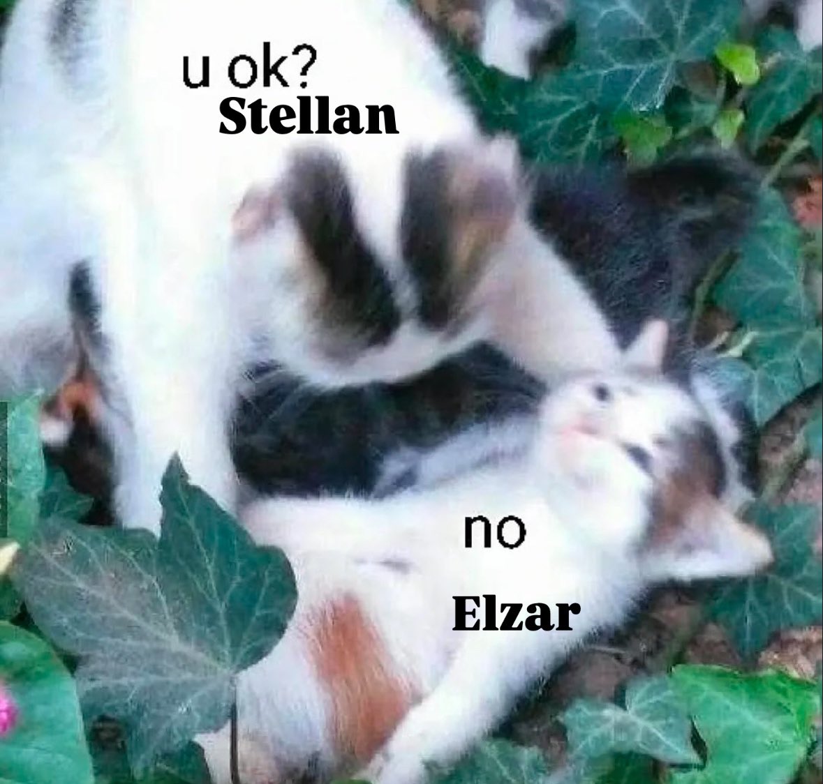 MissGalaxyGirll's tweet image. Am I done bullying Elzar? No. 

I love him. I’m allowed to do this. 

#starwars #thehighrepublic #elzarmann #stellangios