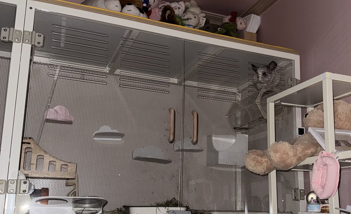 자다 시선느껴져서 깻느데 이러구 나 쳐다보구잇음