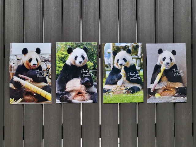 非売品❗️交通安全和歌山夢大使　白浜パンダ楓浜彩浜キーホルダー　ストラップ 非売品 交通安全和歌山夢大使 楓浜 ストラップ 白浜 パンダ