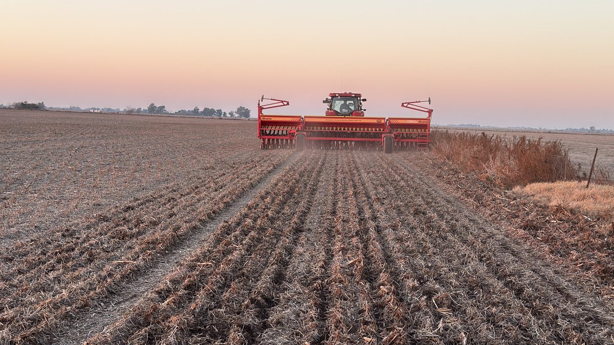 Arrancado con el triticum ….. día histórico si los hay……. Será buena justicia……