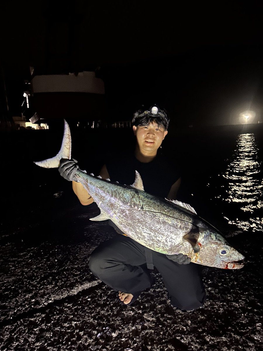 AnglerRyusei's tweet photo. 想定外の大物‼️
イソンボ　105cm　15.3kg

いるのは知ってたけどまさかかかるとは
綺麗に針かかりしててリーダー無傷でした

運にも助けられ https://t.co/3HH9iK1t0n