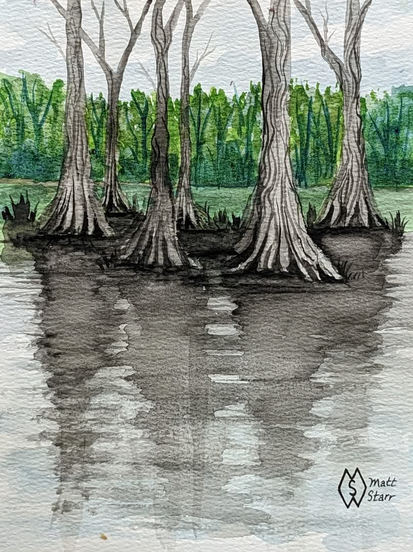 I was inspired to do this watercolor painting of some cypress trees in the swamp after seeing so many in my travels in the southern states. fineartamerica.com/featured/cypre… 
#mattstarrfineart #art #cypress #cypresstree #cypresstrees #tree #swamp #lake #florida #mississippi #louisiana