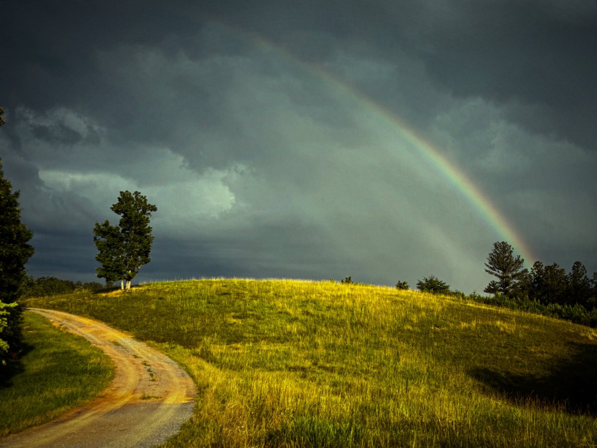 sdcoile's tweet image. It might be a wet summer in North GA, but it’s sure been nice seeing a lot more authentic rainbows instead of the knock-off variety we usually get in June.