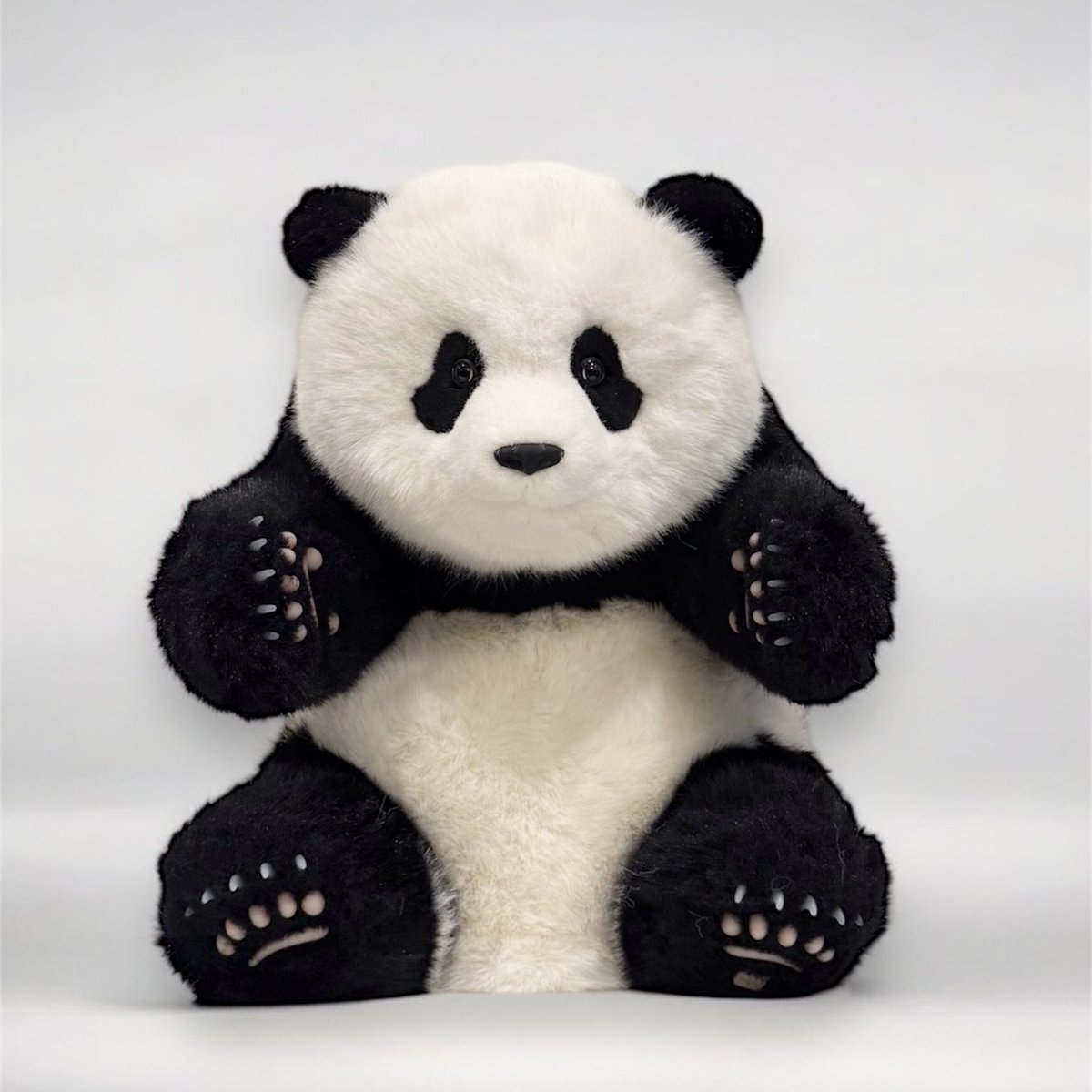 Pandaページ パンダプラネット (@PP_staff00) / Posts / X