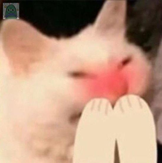 Tanyarlfes tweet media