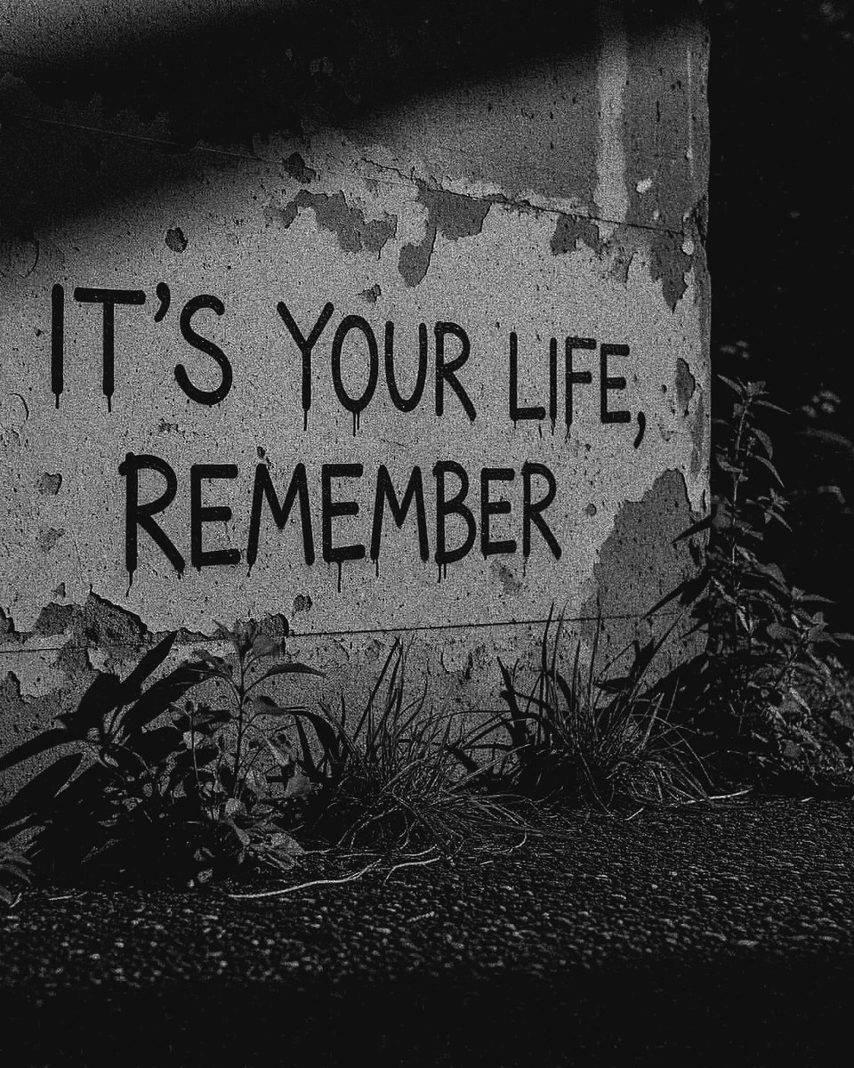 miniarchillect's tweet image. 