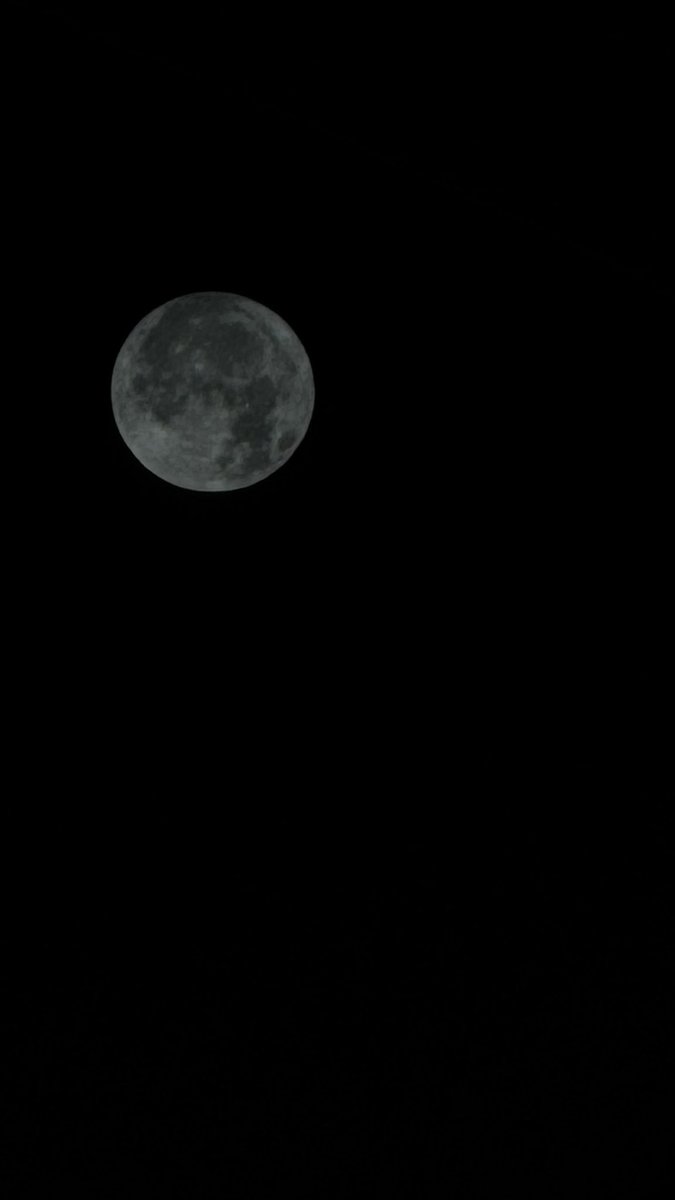 iixka1's tweet photo. I'm captivated by the way it looks beautiful. https://t.co/xKm1Acp6hq