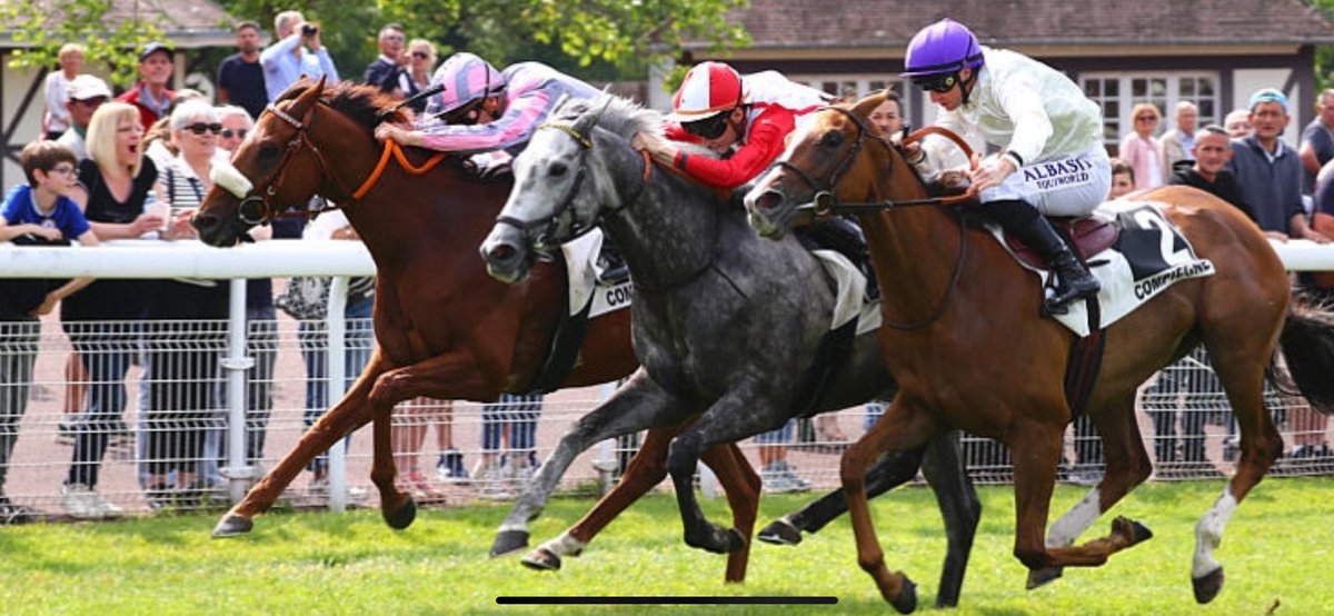 🌟Winner🏆🌟 on Monday at Compiègne🇫🇷:

- 🥇#JackOfTrades🐎 - D. De Wulf

Photo: <a href="/AprhChantilly/">Aprh</a> 

Agents:

Lisa Pauwels🇧🇪
<a href="/Benjhub/">Benjamin Hubert</a>🇫🇷