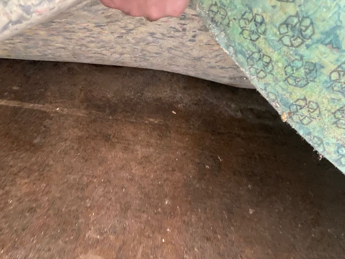 katief4rguson's tweet photo. Over 2 years of having our lounge floor like this :( reported on the 29/01/23 , now on the bottom of sofa :( have a 2, 7 and 9 year old breathing this stuff in 

Just want everything sorted , I can’t describe the smell 

@WaverleyBC 

#council #councilhouse #healthandsafety https://t.co/D1Zhxx7EU0