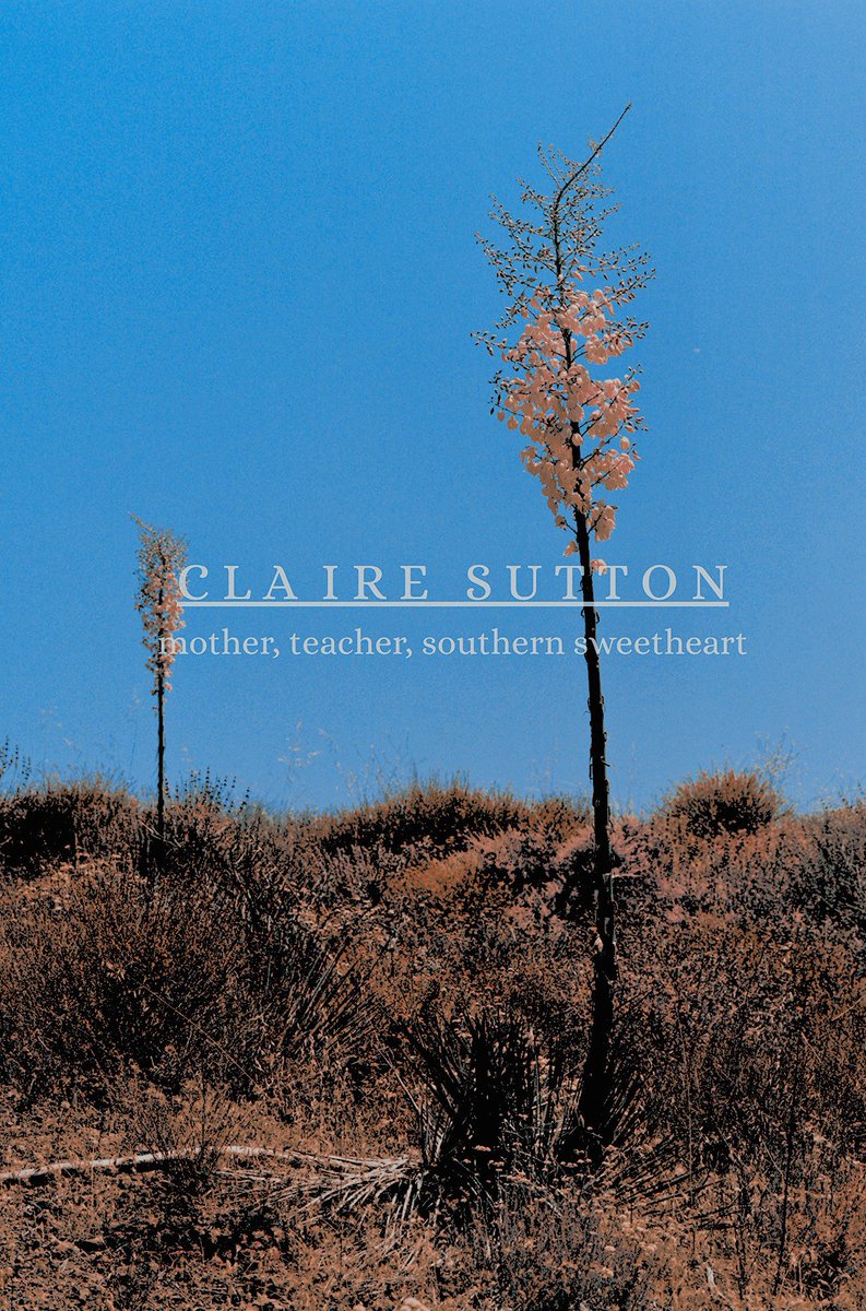 ‍‍ ‍ 𝒑𝙧𝙤𝙙𝙞𝙜𝙖𝙡 ‍ ╱‍‍ ‍ 𝒈𝙖𝙡𝙡𝙖𝙜𝙝𝙚𝙧 ‍ (@wndrlustings) on Twitter photo 