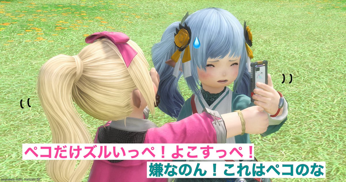 めいぷる＠Typhon鯖 tweet media