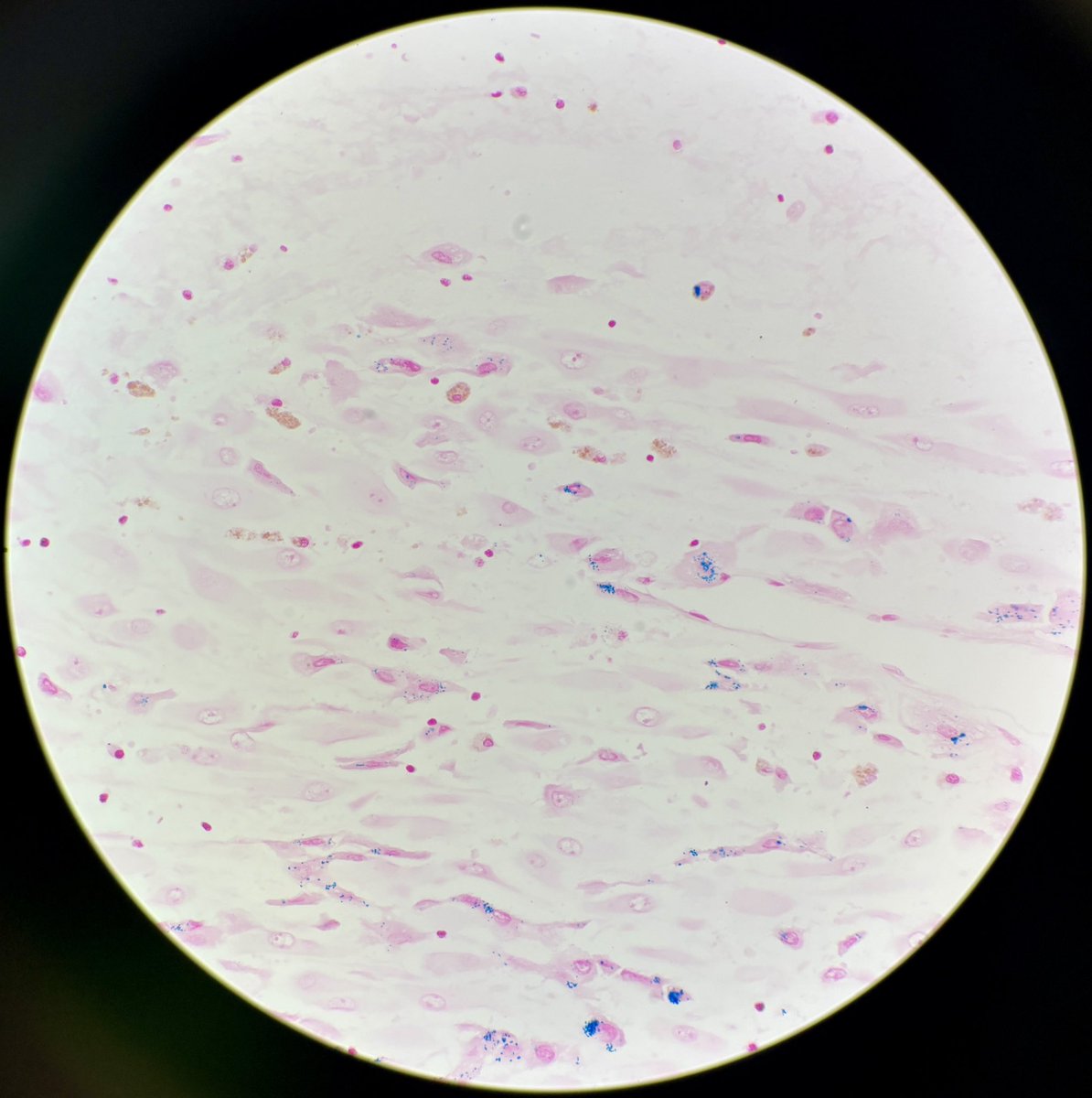 Daniel Levitan tweet media