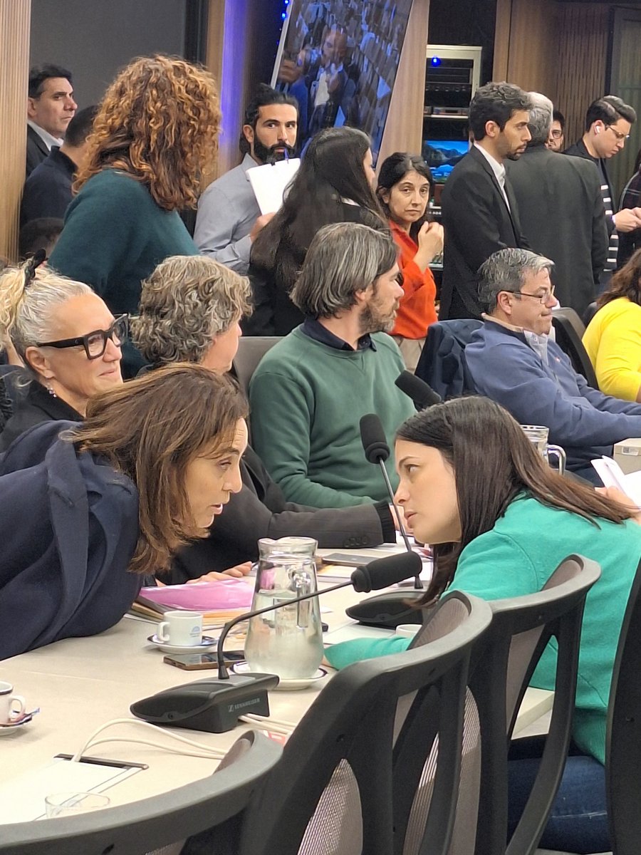 Los diputados de Democracia para Siempre propusieron testimonios por el cripto-escándalo $Libra a
Alejandro Melik, de la Oficina Anticorrupción y María Florencia Zicavo del Min. de Justicia (que deslindaron responsabilidad de Milei) y al diputado español Gerardo Pisarello Prados.